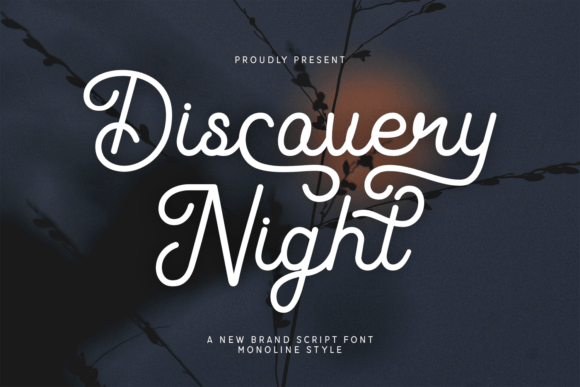 Discovery Night: A Modern Script Font for Elegant Web Design