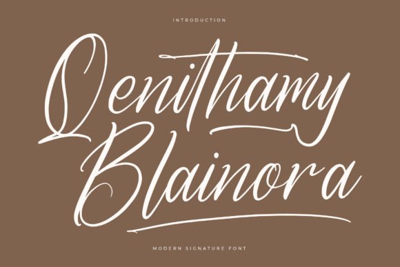 Qenithamy Blainora Font: Elegant Branding for Small Business